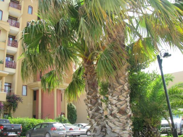 фото Bella Resort & Spa