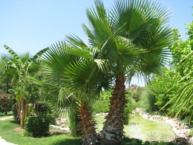 территория отеля