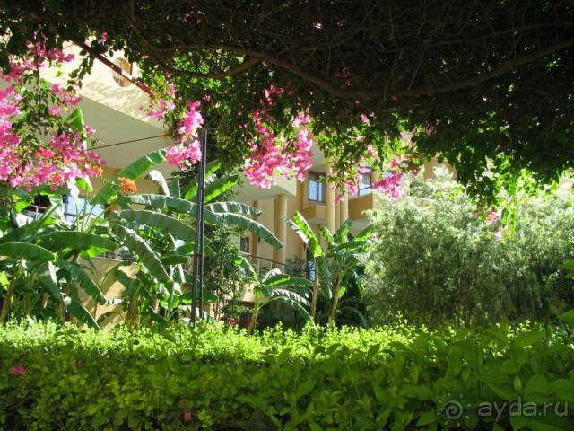 фото Bella Resort & Spa