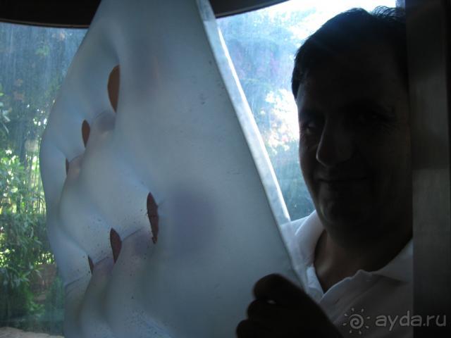 ресепшн Муса