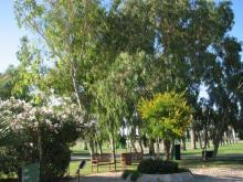 фото Blue Waters Club & Resort