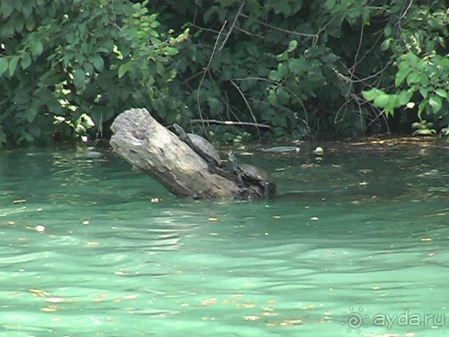 фото Armas Bella Sun Hotel