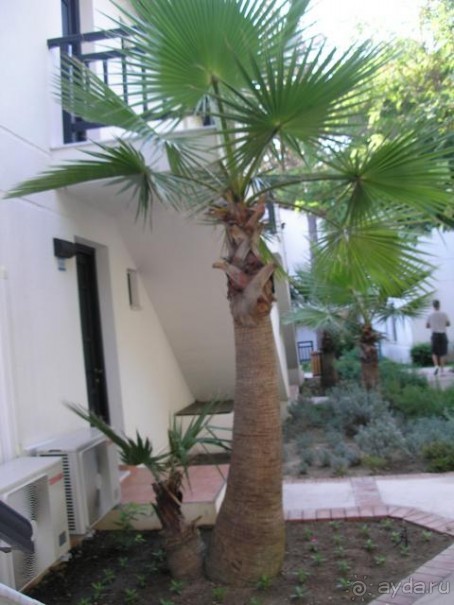 фото Baia Kemer Club 