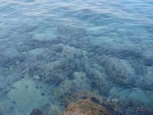 виды отеля в т.ч. с балкона