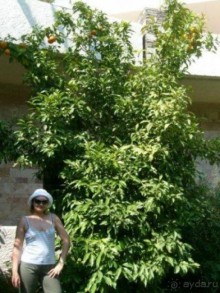 В Грецию хочется вернуться!