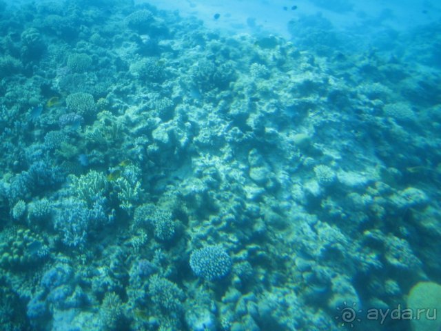 фото Golden 5 Almas Resort (закрыт)