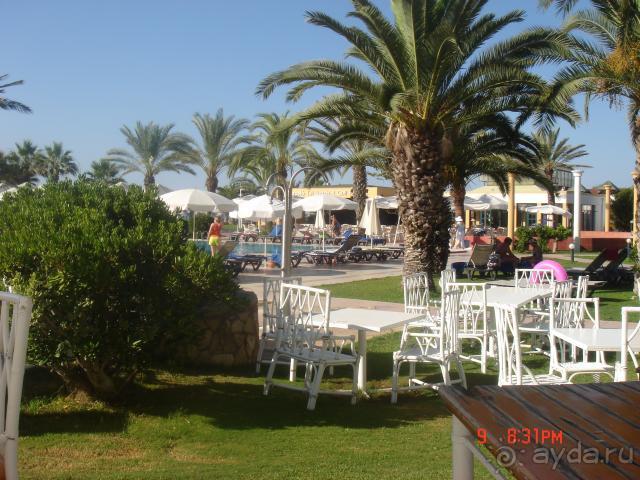 Ожидания оправдались