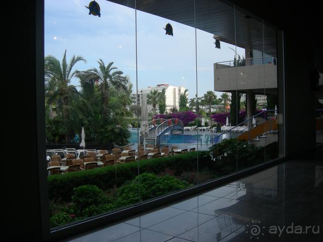 территория