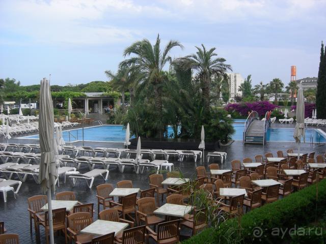 территория