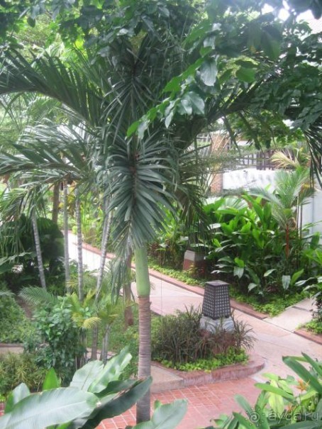 Отличный отель!!!!