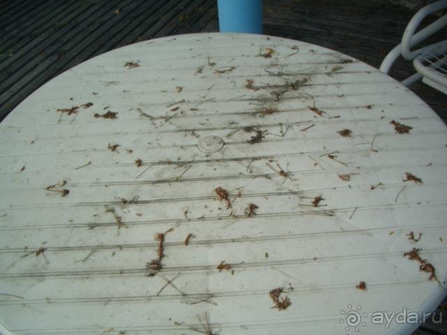 Хуже не бывает!!! ФИГНЯ ПОЛНАЯ!!!