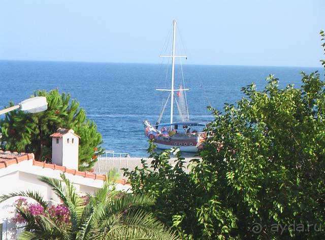 фото Elite Life Hotel