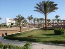 вид с террассы