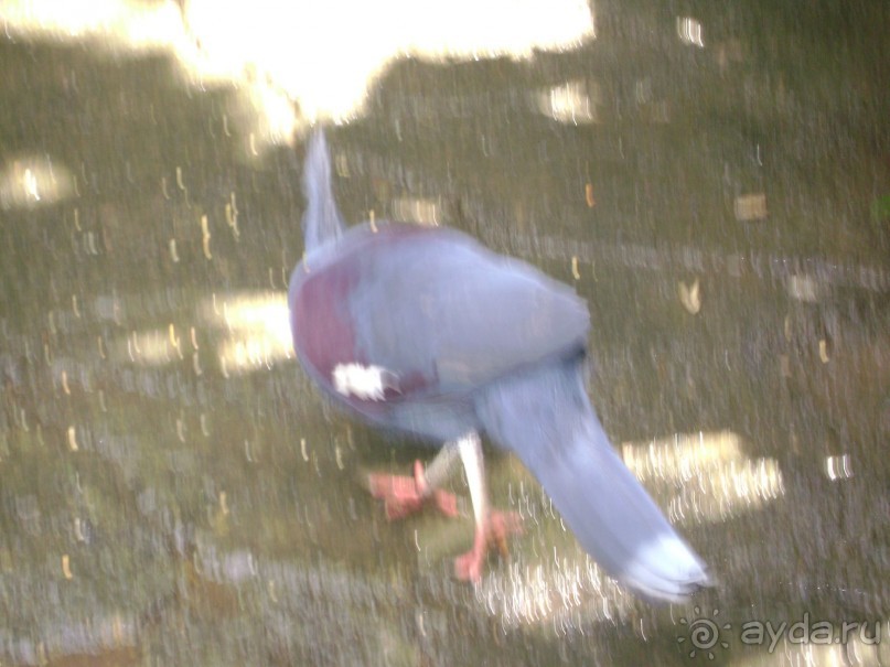 Шесть островов Индонезии или все в ваших руках...