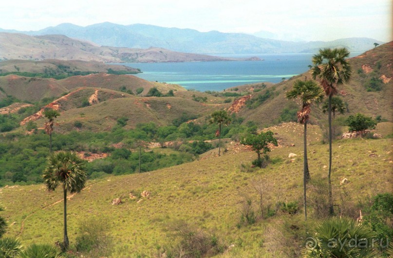 Шесть островов Индонезии или все в ваших руках...