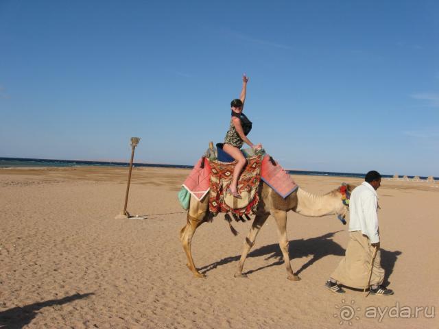 фото Coral Beach Hurghada Hotel