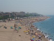 Кактус без колючек