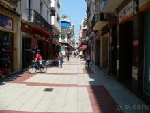 Кактус без колючек