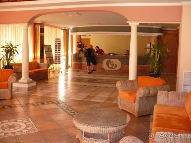 Кактус без колючек