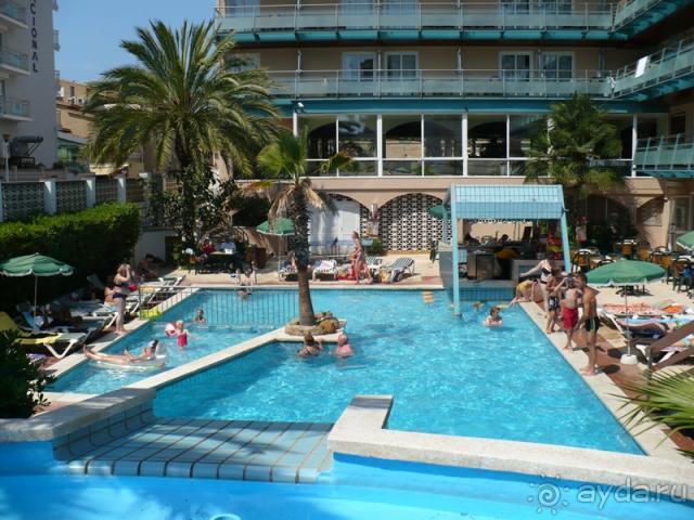 Кактус без колючек