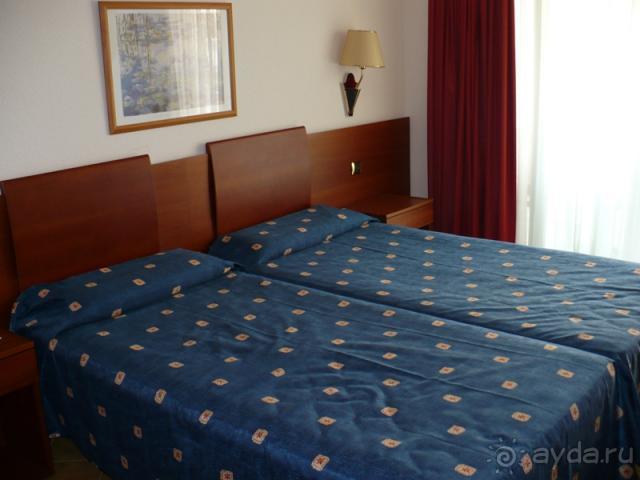 Кактус без колючек