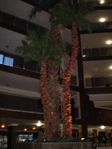 Современнный и уютный отель