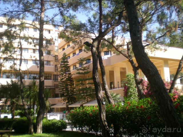 Территория отеля