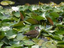 Хотя и 2 звезды, но хорошо там, чисто и уютно