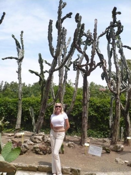 Хотя и 2 звезды, но хорошо там, чисто и уютно