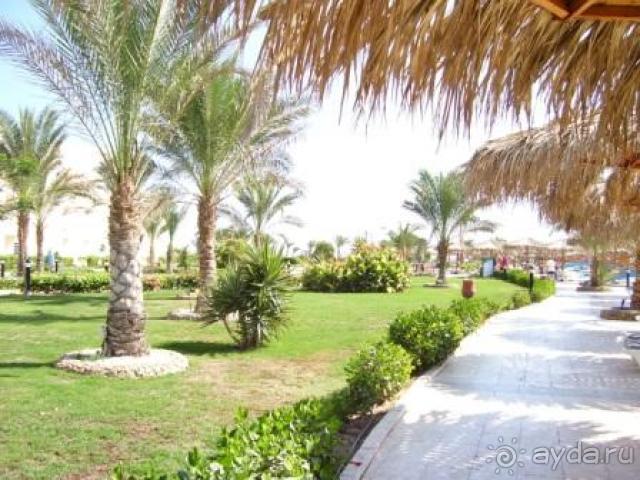 Отель замечательный