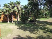 фото Queen's Park Goynuk