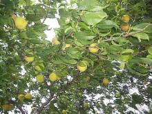 Главное: хорошее настроение и позитивный настрой.