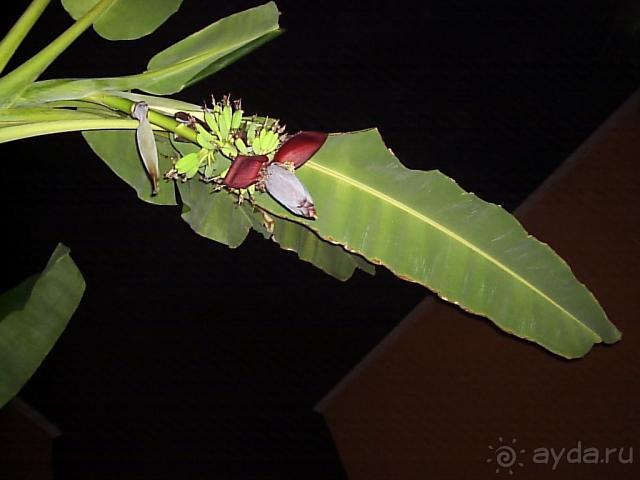 Главное: хорошее настроение и позитивный настрой.