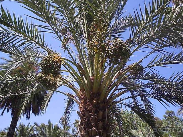 Главное: хорошее настроение и позитивный настрой.