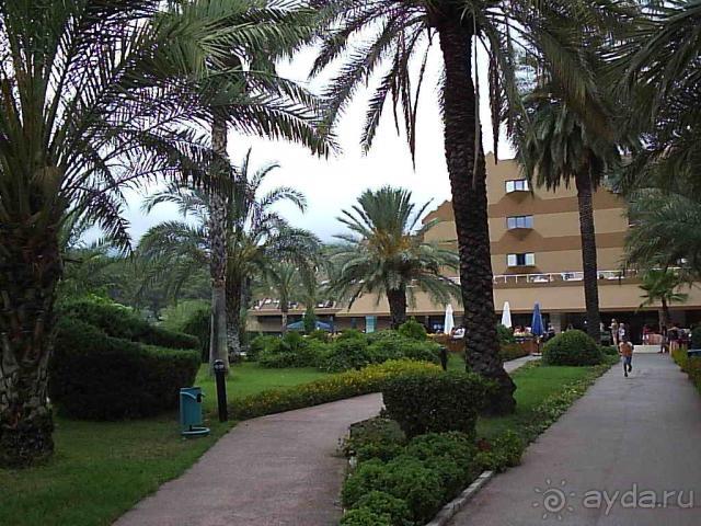 Главное: хорошее настроение и позитивный настрой.