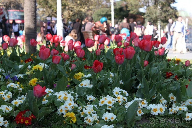 Стамбул: сказка в наших руках