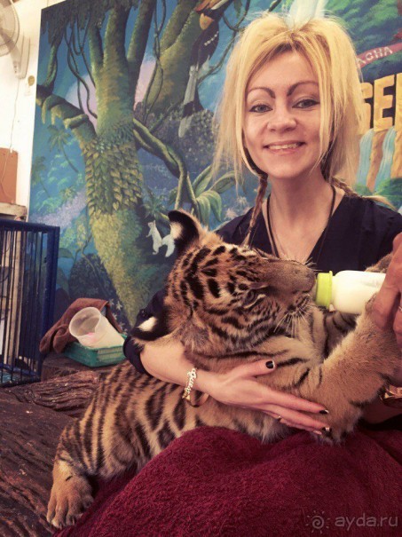 Паттайя – да кто ж ее не знает )