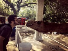 Паттайя – да кто ж ее не знает )