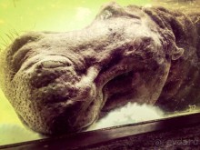 Паттайя – да кто ж ее не знает )