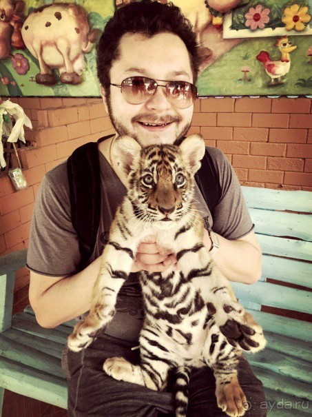 Паттайя – да кто ж ее не знает )