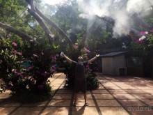 Паттайя – да кто ж ее не знает )