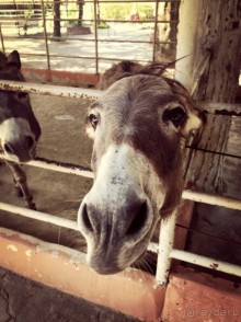 Паттайя – да кто ж ее не знает )