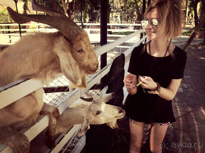 Паттайя – да кто ж ее не знает )