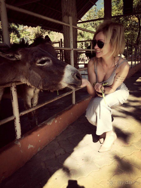 Паттайя – да кто ж ее не знает )