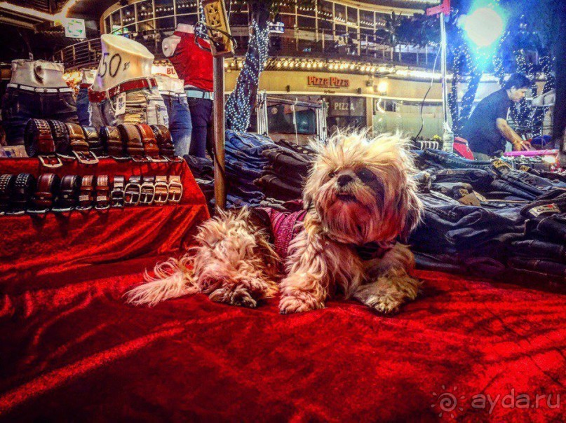 Паттайя – да кто ж ее не знает )