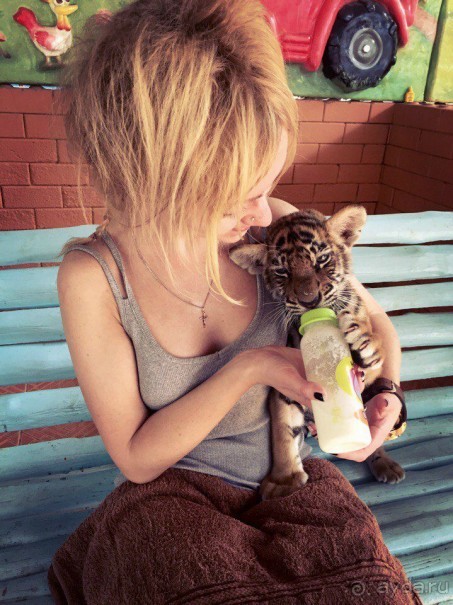 Паттайя – да кто ж ее не знает )