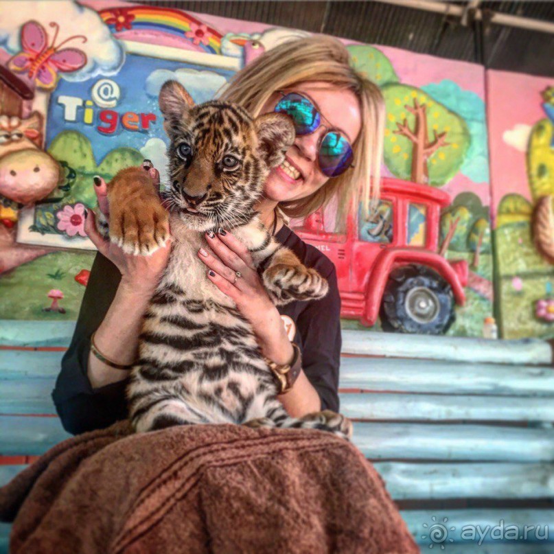 Паттайя – да кто ж ее не знает )