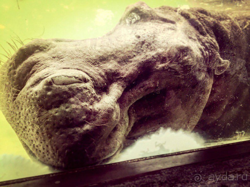 Паттайя – да кто ж ее не знает )