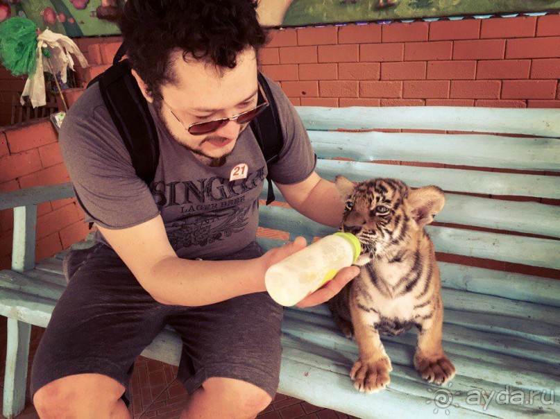 Паттайя – да кто ж ее не знает )