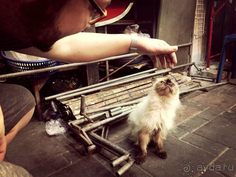 Паттайя – да кто ж ее не знает )